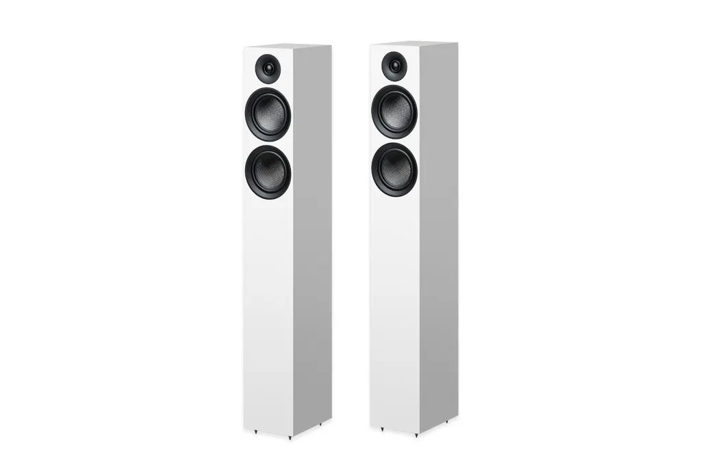 Speaker Box 12 E Carbon