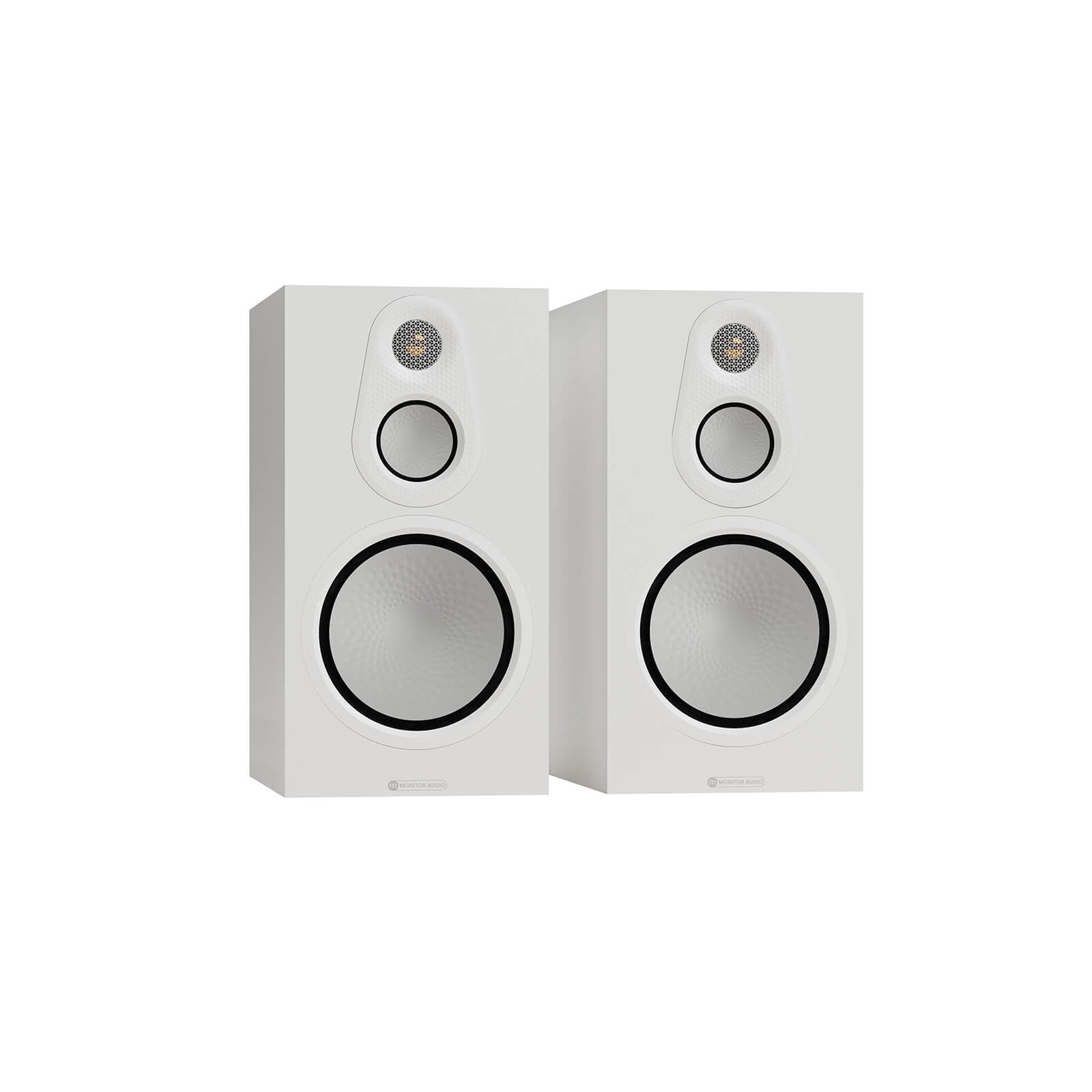 Silver 100 8G